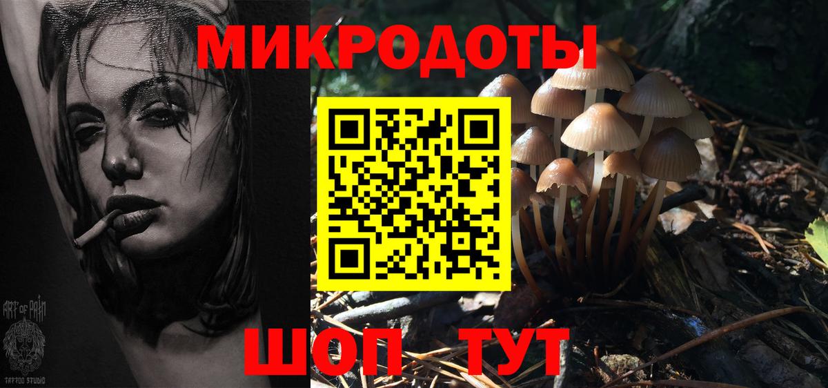 Псилоцибиновые грибы Psilocybe  Видное 