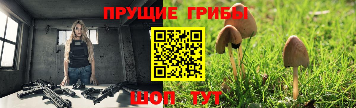 Псилоцибиновые грибы Cubensis Видное